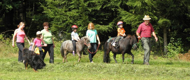 Reiterferien am Bauernhof in Bayern - Unsere Ponys